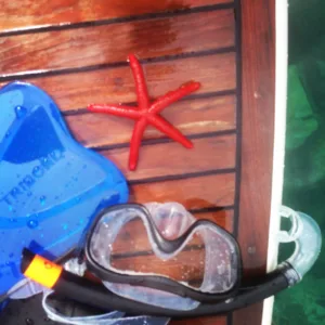 estrella de mar, gafas de buceo en un barco