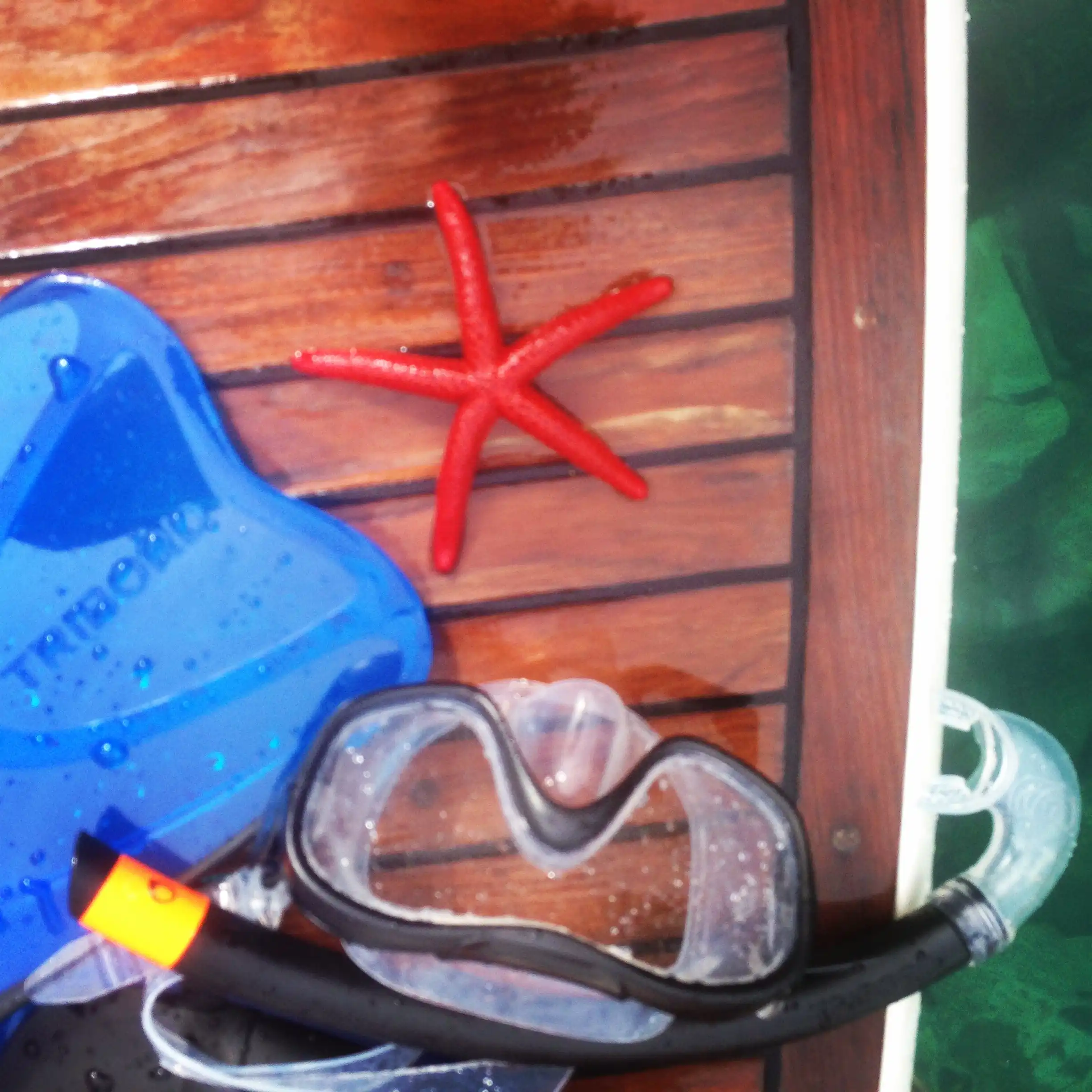 estrella de mar, gafas de buceo en un barco
